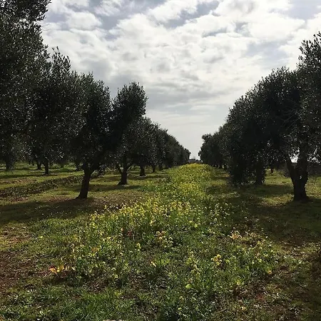 Nido Del Salento بيت للعطل