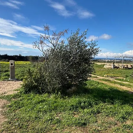 Nido Del Salento بيت للعطل *