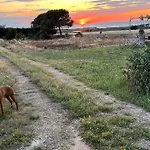 Vakantiehuis Nido Del Salento